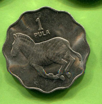 я11.jpg