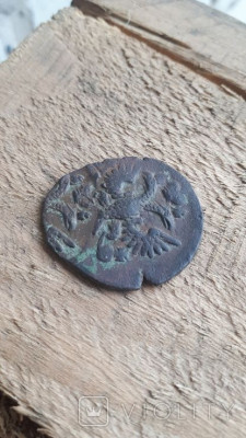 176570692.jpg