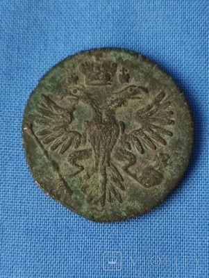 167698793.jpg