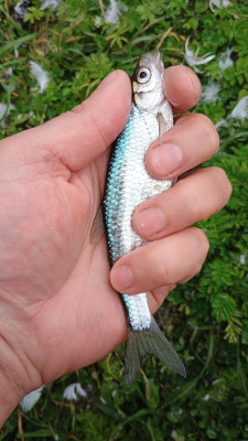 IMG_20250520_112621760.jpg