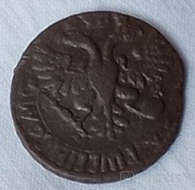 177126220.jpg