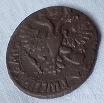 177126222.jpg