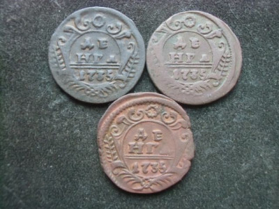 CIMG7143.JPG