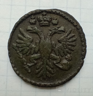 177176506.jpg