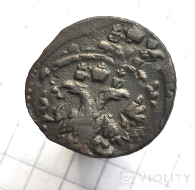 177143677.jpg
