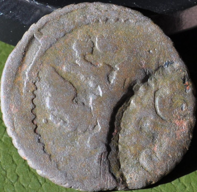 01,07,2020 009.JPG