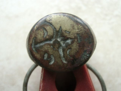 CIMG5515.JPG