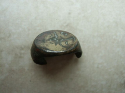 CIMG5516.JPG