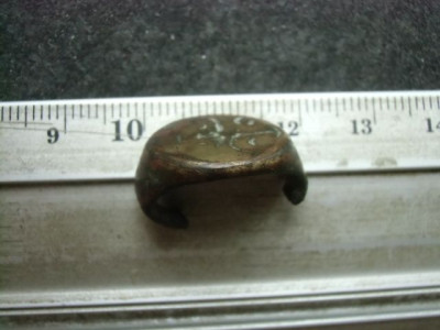 CIMG5517.JPG