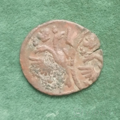 177355046.jpg