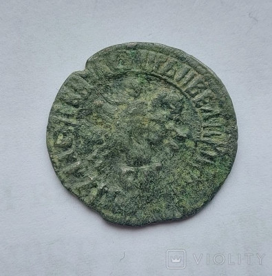 176769729.jpg