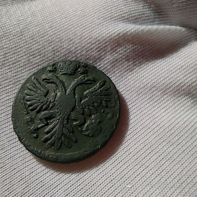 172952359.jpg