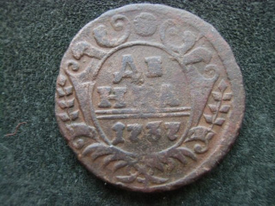CIMG5717.JPG