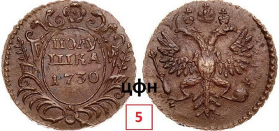 ЦФН №5.jpg