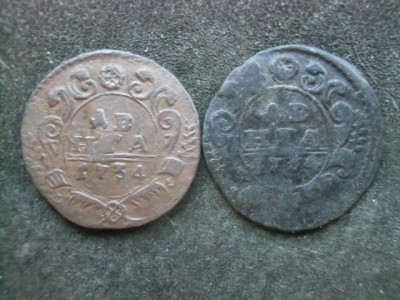 CIMG5859.JPG
