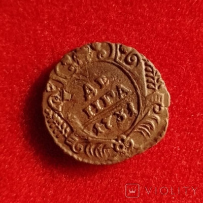 172789055.jpg