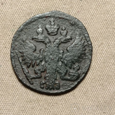 178682772.jpg