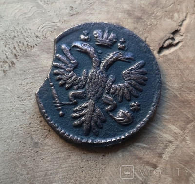171688855.jpg
