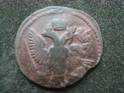 CIMG6109.JPG