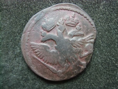 CIMG6112.JPG