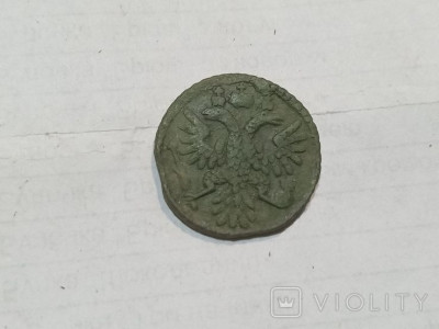 177011168.jpg