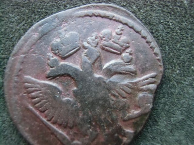 CIMG6148.JPG