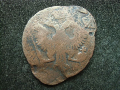CIMG6106.JPG