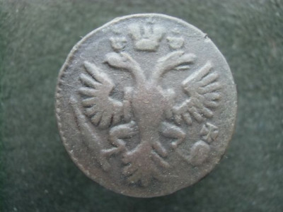 CIMG7392.JPG