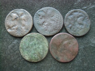 CIMG6440.JPG