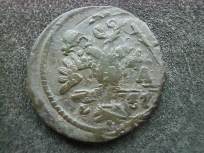 CIMG6196.JPG