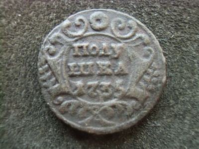 CIMG6844.JPG