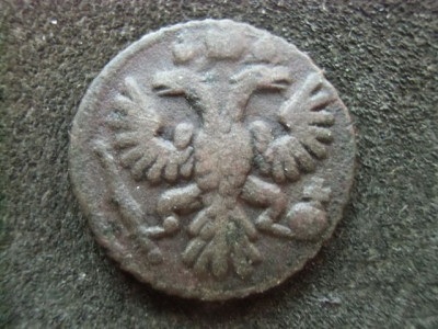 CIMG6846.JPG