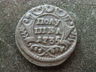 CIMG6865.JPG