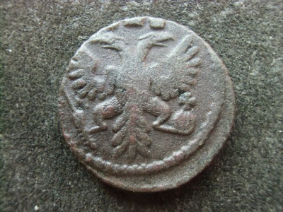 CIMG6869.JPG