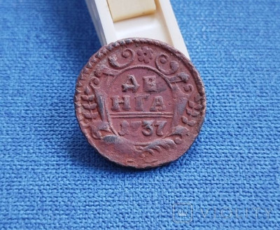 179822314.jpg
