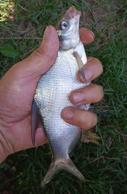 20250727_103212.jpg