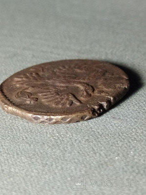 164489402.jpg