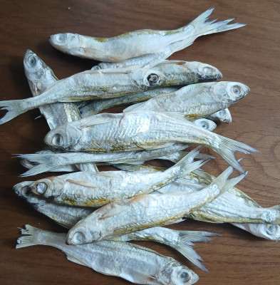 20250727_172140.jpg