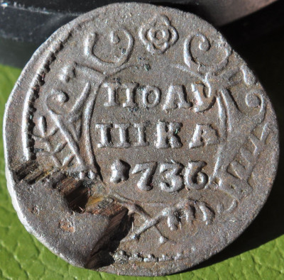 1736 (10).JPG