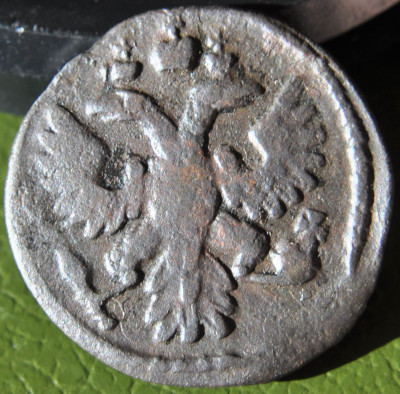 1736 (11).JPG