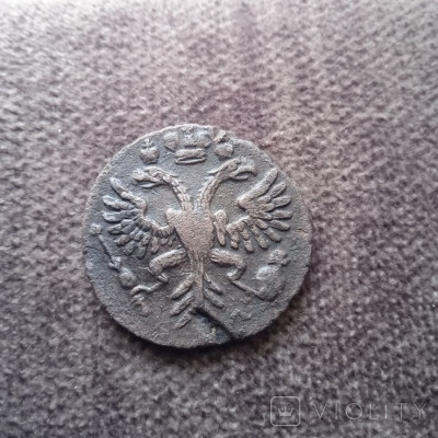 176199594.jpg