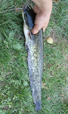 20250802_174155.jpg