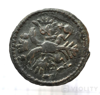177162133.jpg