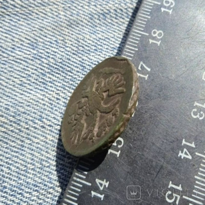 178903177.jpg