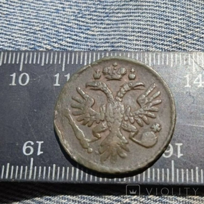 178903183.jpg