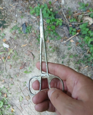 20250801_184549.jpg