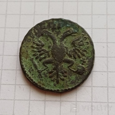177364876.jpg