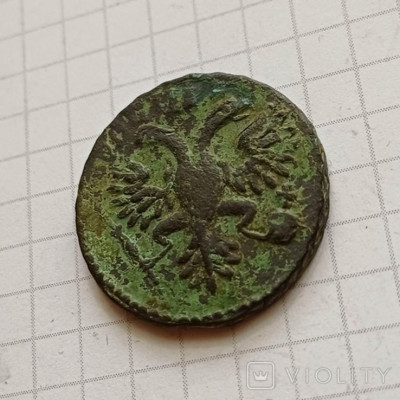 177364877.jpg