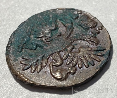 179901690.jpg