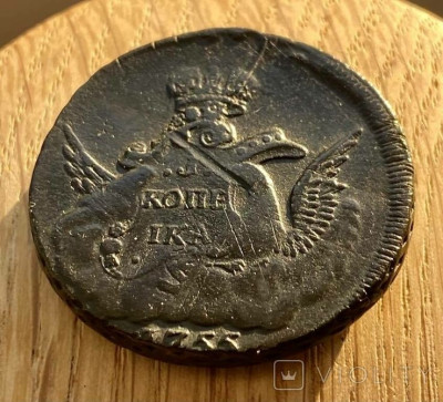 172336309.jpg
